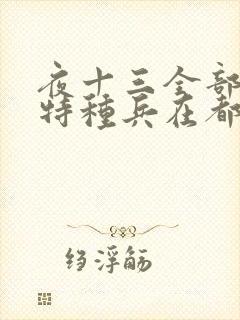 夜十三全部小说特种兵在都市