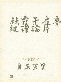 秋霞午夜鲁丝一级理论片