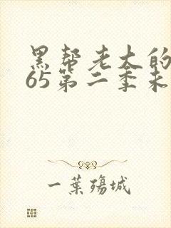 黑帮老大的我365第二季未删减版