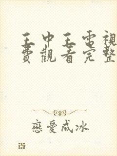 王中王电视剧免费观看完整版高清封面