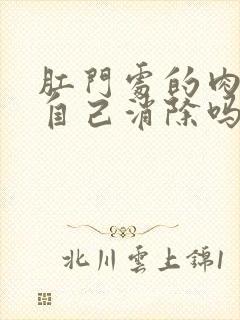 肛门处的肉球能自己消除吗