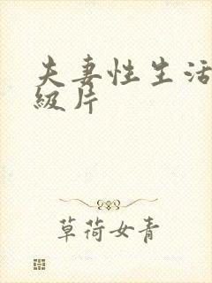 夫妻性生活片一级片