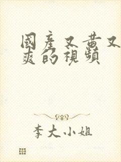 国产又黄又色又爽的视频