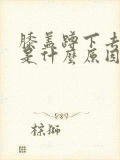 膝盖蹲下去就痛是什么原因