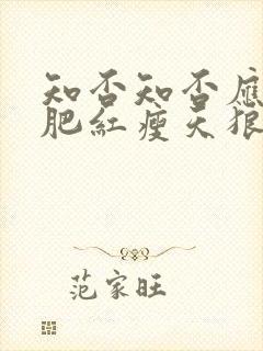 知否知否应是绿肥红瘦天狼