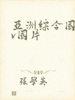 亚洲综合国产av国片