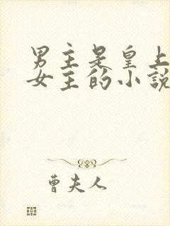 男主是皇上只爱女主的小说