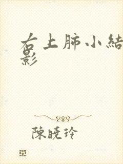 右上肺小结节样影