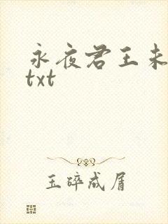 永夜君王未删减txt