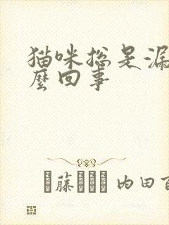 猫咪总是漏尿怎么回事