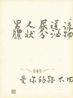 男人尿道流出黄脓状分泌物