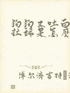 狗狗又吐白沫又拉稀是怎么回事