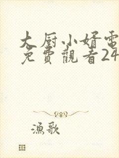 大厨小婿电视剧免费观看24集