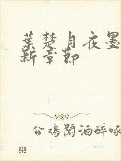 叶楚月夜墨寒最新章节