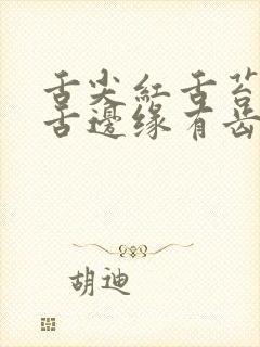 舌尖红舌苔黄厚舌边缘有齿痕