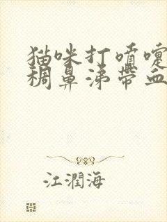 猫咪打喷嚏流浓稠鼻涕带血