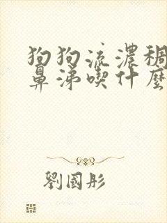 狗狗流浓稠的黄鼻涕吃什么药