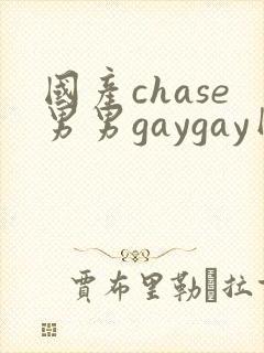 国产chase男男gaygay网站封面