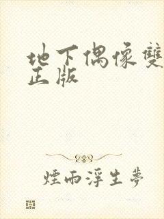 地下偶像双男主正版