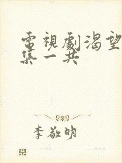 电视剧渴望多少集一共