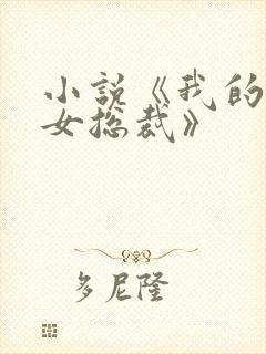 小说《我的高冷女总裁》