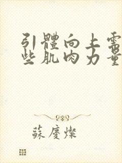 引体向上需要哪些肌肉力量封面