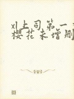 xl上司第一季樱花未增删翻译