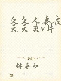 久久人妻夜夜做天天爽v片