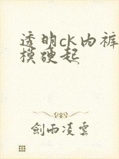 透明ck内裤男模硬起