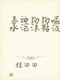 泰迪狗狗呕吐黄水泡沫粘液是什么症状