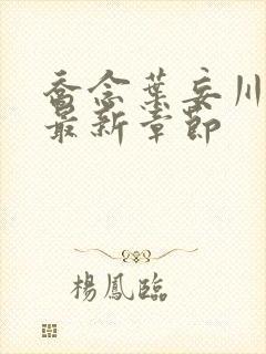 乔念叶妄川小说最新章节