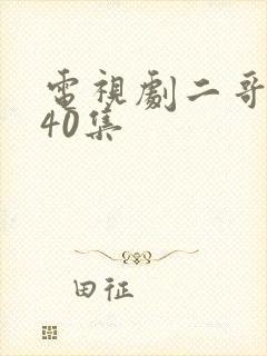 电视剧二哥二嫂40集