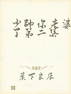 少帅你老婆又跑了第二集