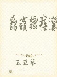 盛世婚宠:总裁的头号佳妻