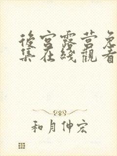 后宫露营免费全集在线观看