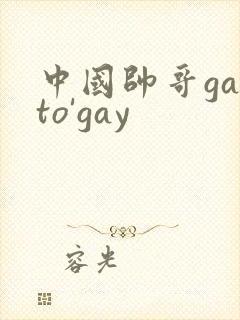 中国帅哥gayto'gay