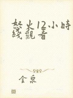 怒火12小时在线观看封面