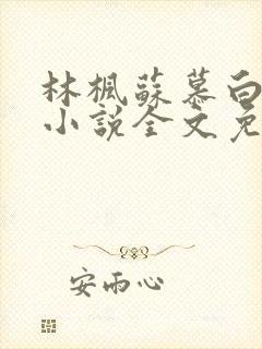 林枫苏慕白穿越小说全文免费阅读