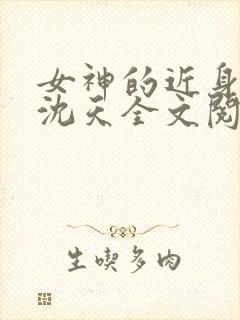 女神的近身高手沈天全文阅读