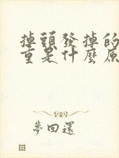 掉头发掉的太严重是什么原因封面