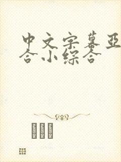 中文字幕亚洲综合小综合