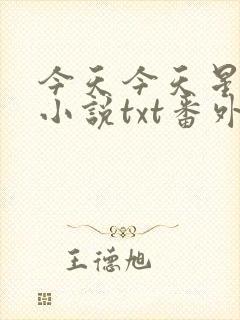 今天今天星闪闪小说txt番外