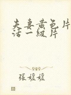 夫妻黄色片性生活一级片