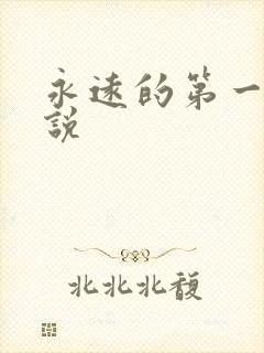 永远的第一名小说