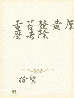 舌苔发黄厚腻怎么去除封面