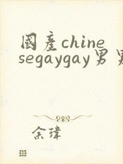 国产chinesegaygay男男