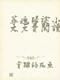 葬魂归途小说全文免费阅读