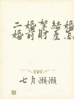 二婚拿结婚证了婚前财产怎么办