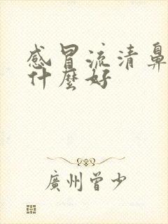 感冒流清鼻涕吃什么好