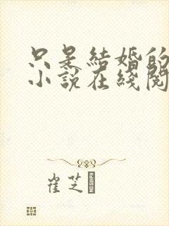 只是结婚的关系小说在线阅读